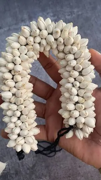 Jasmine Flowers