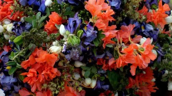 Kathambam with Arali Flowers