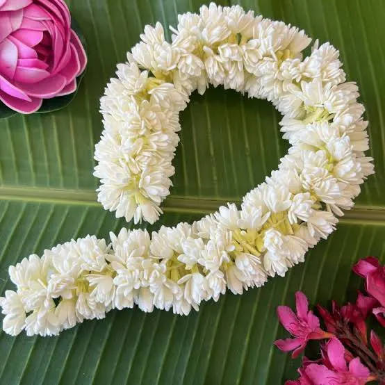 Mullai Flowers